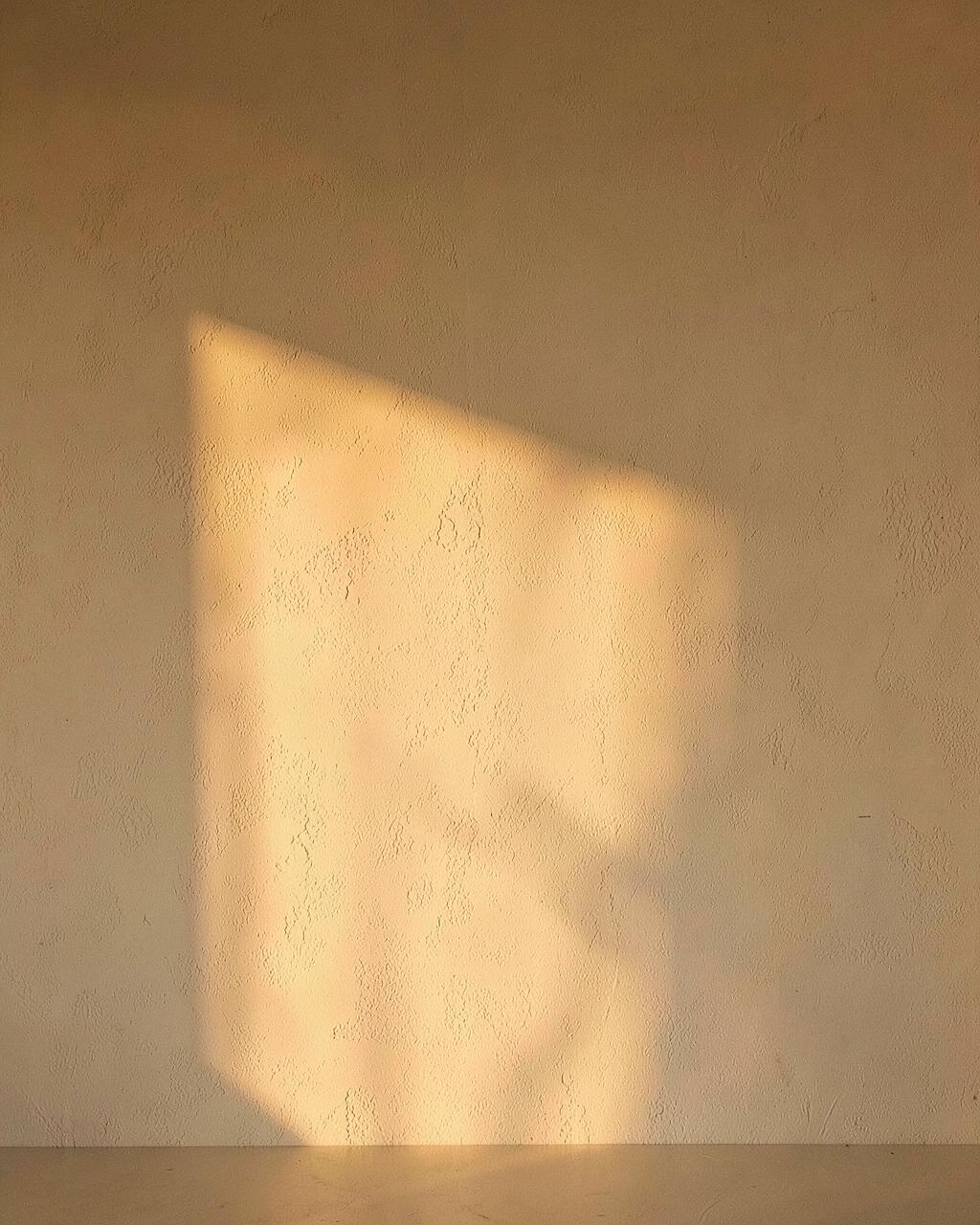 Warm golden-hour light with soft shadows on a cream textured wall